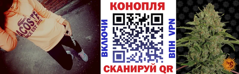 где купить наркоту  Сорск  Канабис ГИДРОПОН 